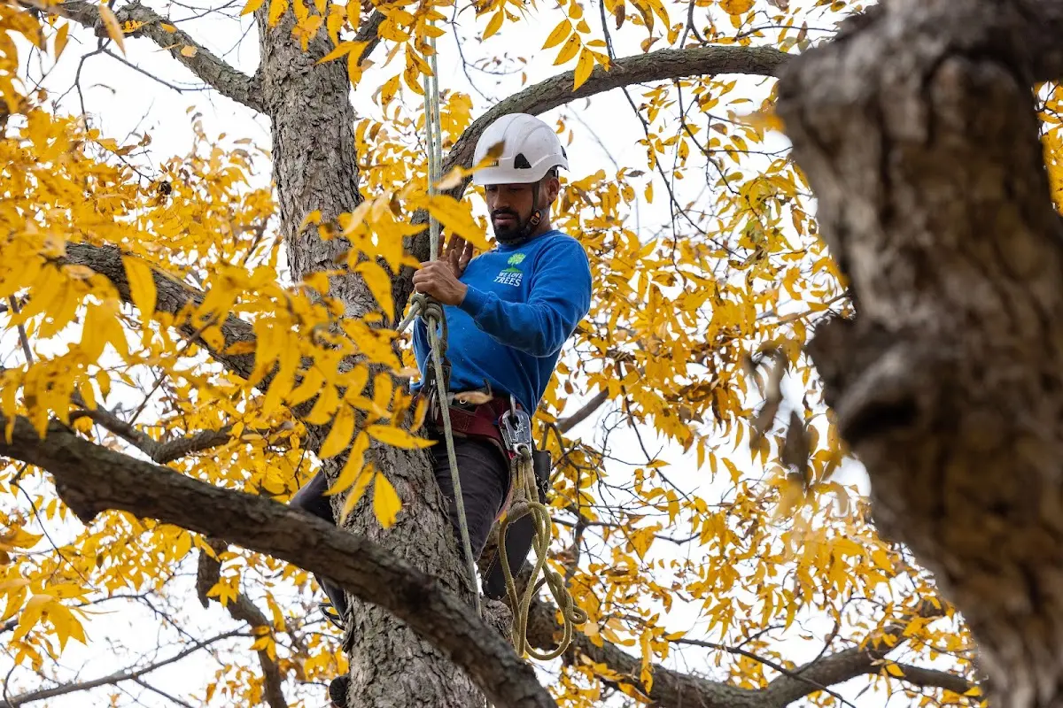 Skilled Storm Damage Cleanup crew working in Pleasant Valley